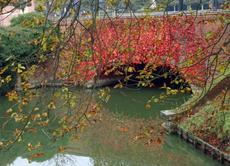Herbststimmung-23-10-09 040.jpg